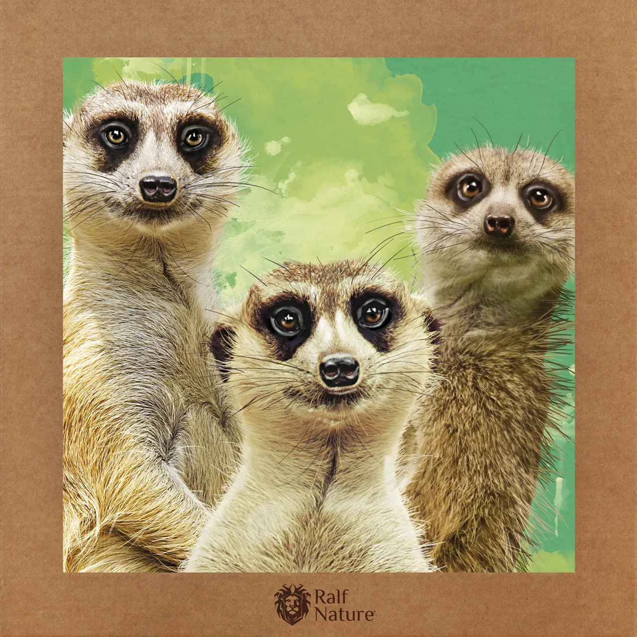 Meerkats T-Shirt Kids