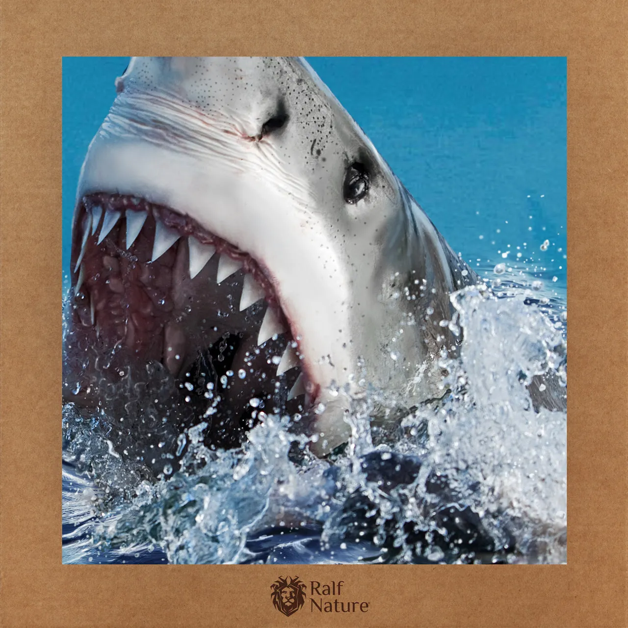 Shark Attack T-Shirt Kids