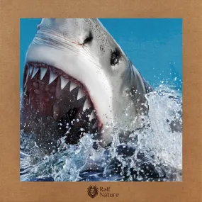 Shark Attack T-Shirt Kids