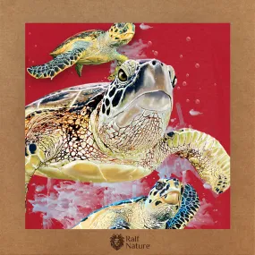 Turtle Friends T-Shirt Kids